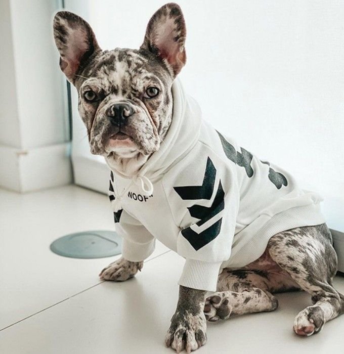 auto draft auto draft